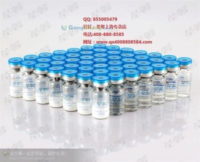 河源市委老干部局 傳承紅色基因，服務(wù)銀發(fā)群體的重要力量